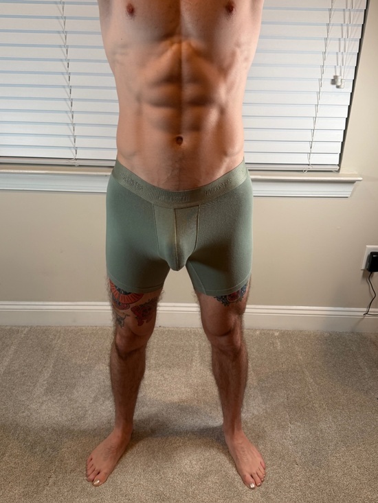 Hollister Other - Men's Hollister Stretch Boxer Briefs in Olive Green Medium